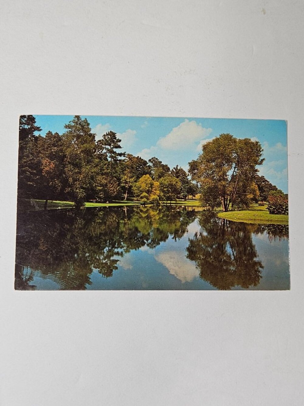 Burgess Spring Lake North of Blountsville Alabama Postcard